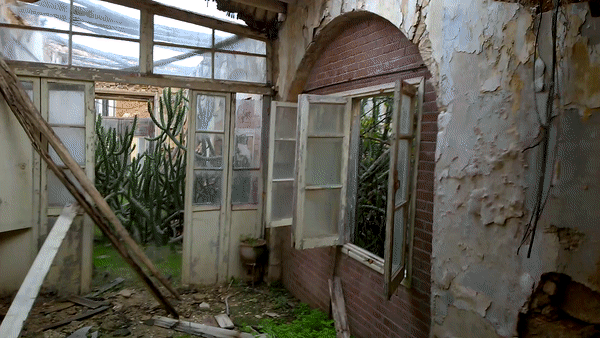The inside of an abandoned house in Varosha, wich broken glass and plants growing